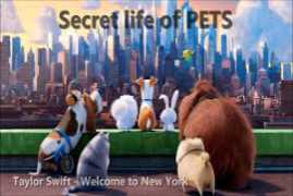 The Secret life of Pets NEW
