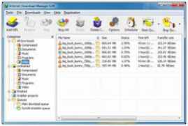 Internet Download Manager IDM 6