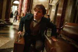 Fantastic Beasts and Where to Find