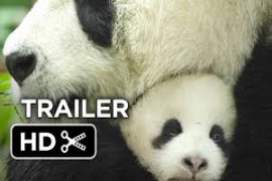Born in China 2016