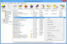 Internet Download Manager IDM 6