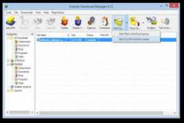 Internet Download Manager IDM 6